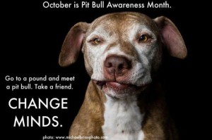 Celebrating Pit Bull Awareness Month: We Love Our Pitties!